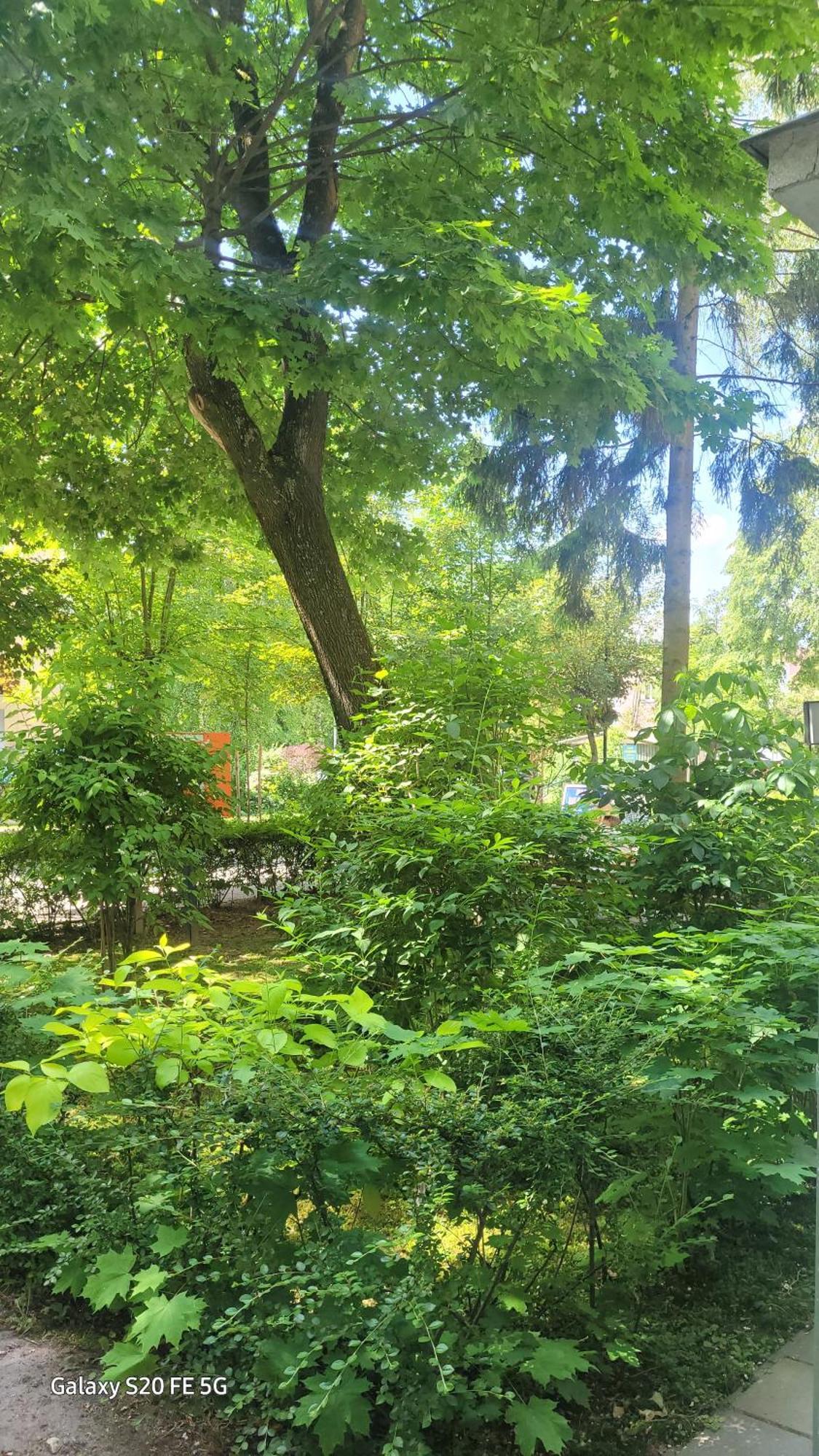 Apartament Przy Parku Наленчув Экстерьер фото